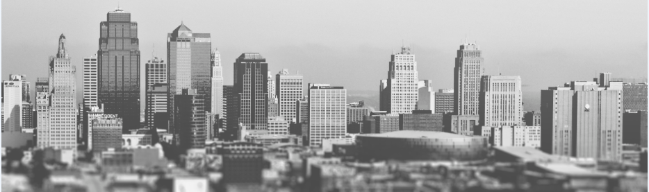 Big Cities Meet Big Data